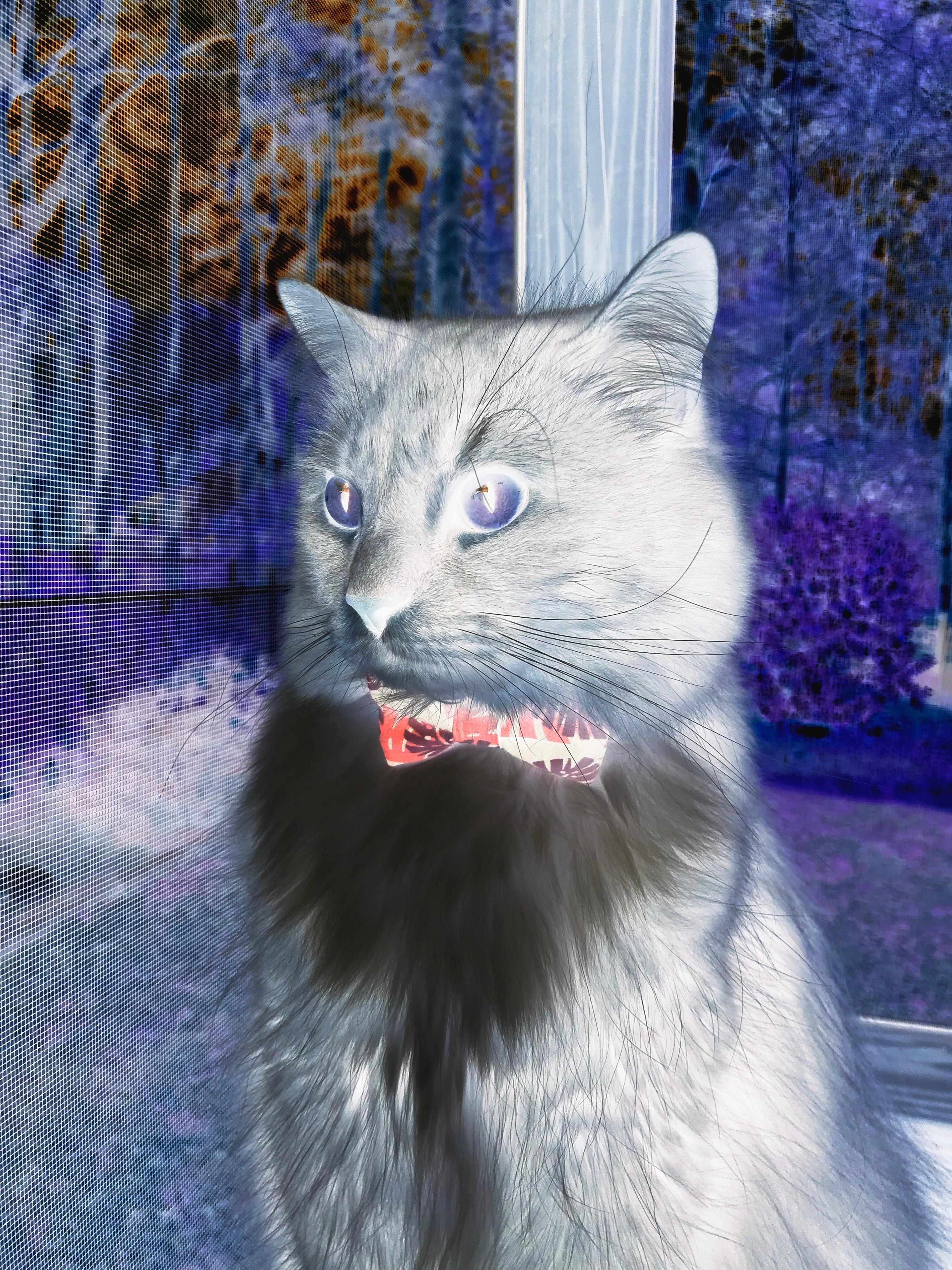 九游娱乐在线-运动员心理辅导项目实施，运动员心理辅导项目实施情况