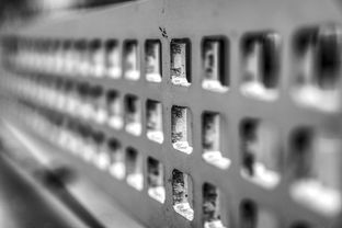 九游娱乐官网-青少年运动损伤预防技术及实践研究，青少年运动损伤预防技术及实践研究论文