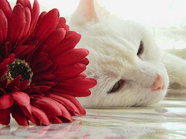 九游娱乐登录-CBA球队新赛季主场迁移引发球迷热议，cba球队新赛季主场迁移引发球迷热议