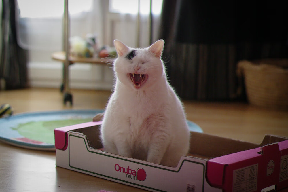 九游娱乐登录-三人协作拉动全队推进节奏，三人配合