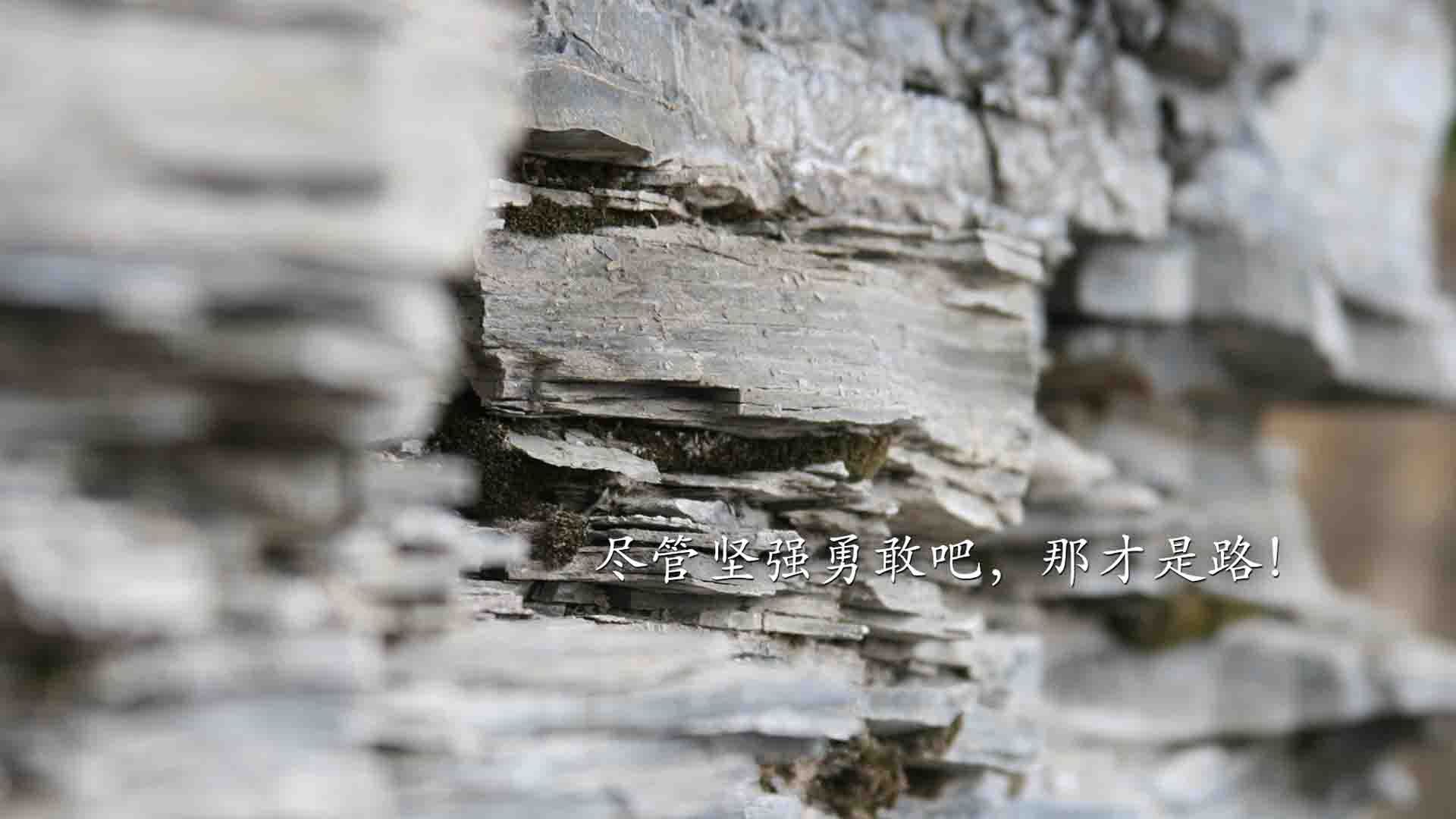 九游娱乐官方平台-中国女篮实力稳步提升，中国女篮实力稳步提升视频