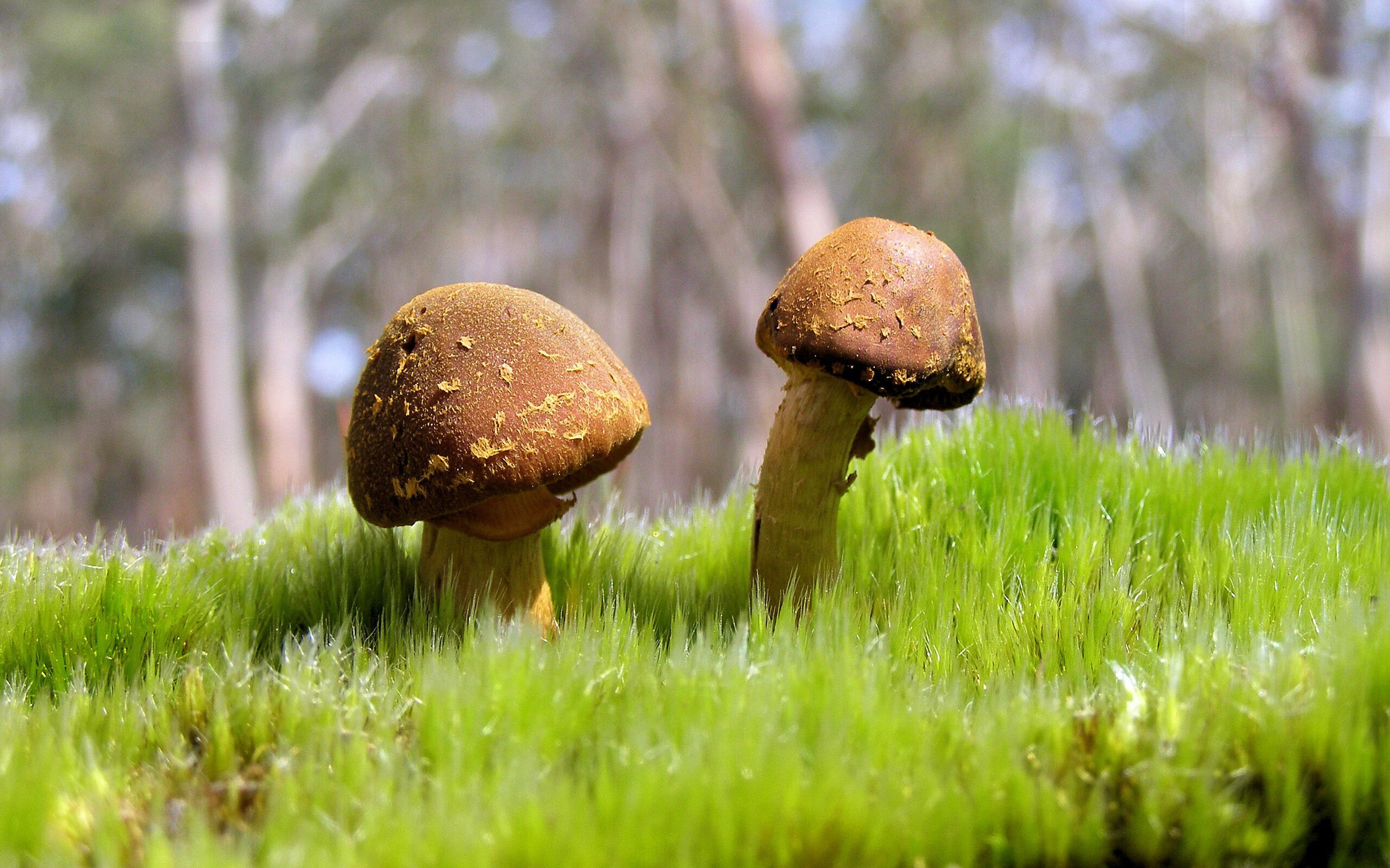 九游官网入口地址-中超联赛中国队迎战 球员心态保持积极，中超新人