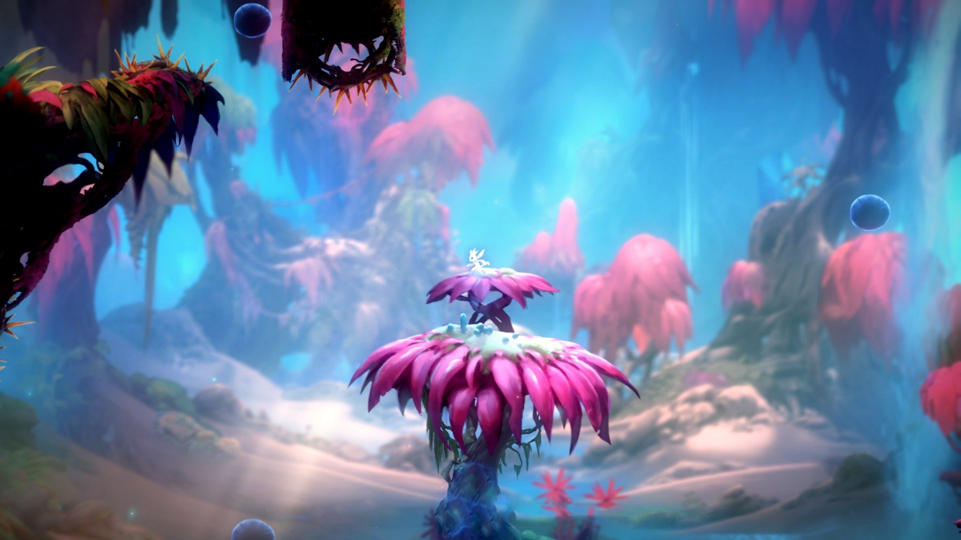 九游官网入口地址-中超联赛中国队迎战 球员心态保持积极，中超新人