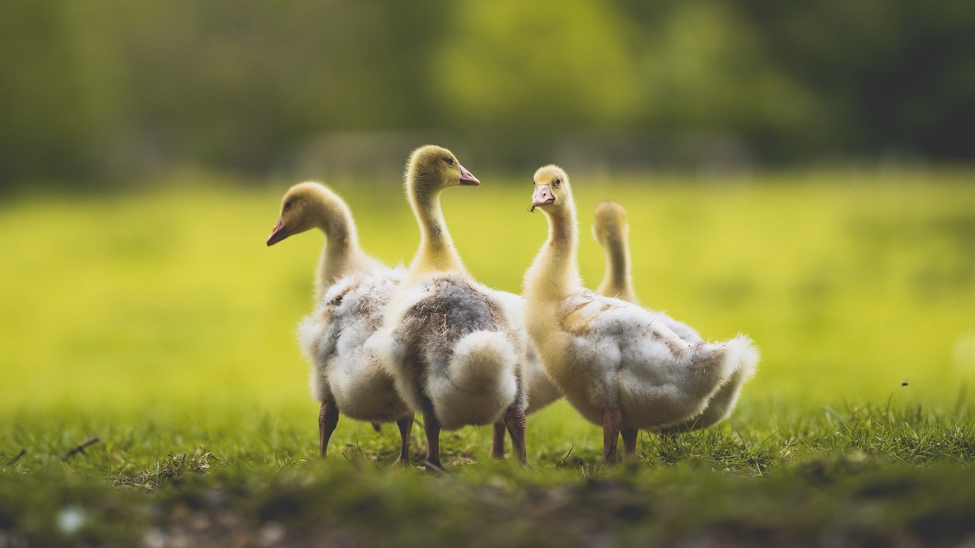 九游娱乐app下载-体育新闻中心构建体育项目数字化分级管理平台，体育数字化建设