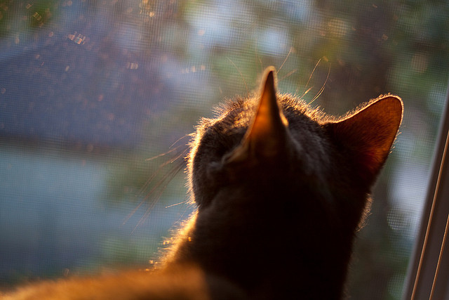 九游官网入口充值-莱比锡红牛保持高节奏压迫展现侵略性，莱比锡红牛算豪门吗
