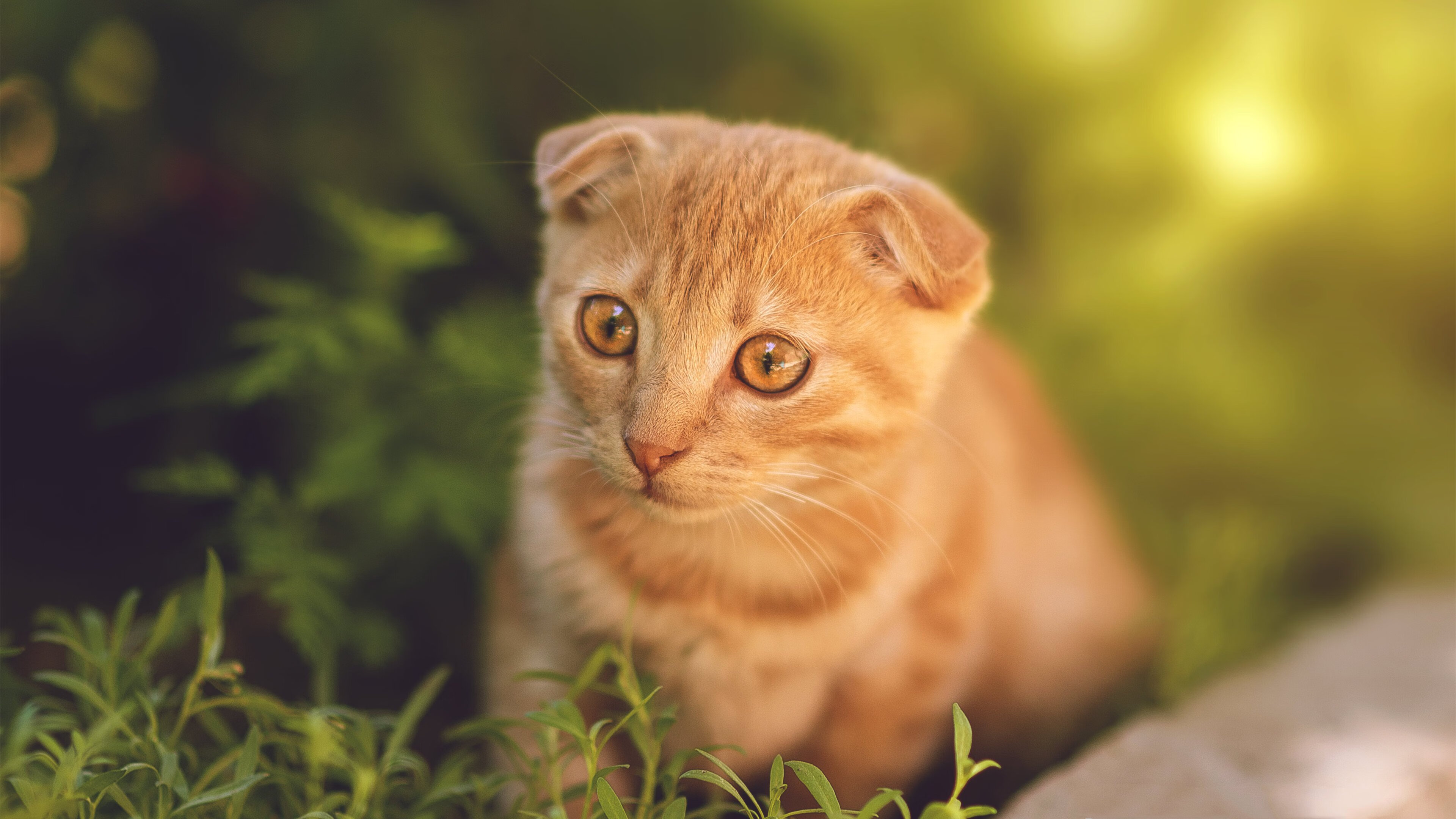 九游网页版入口-乌拉圭男篮在南美锦标赛中持续崛起，迈向国际舞台，乌拉圭男篮实力