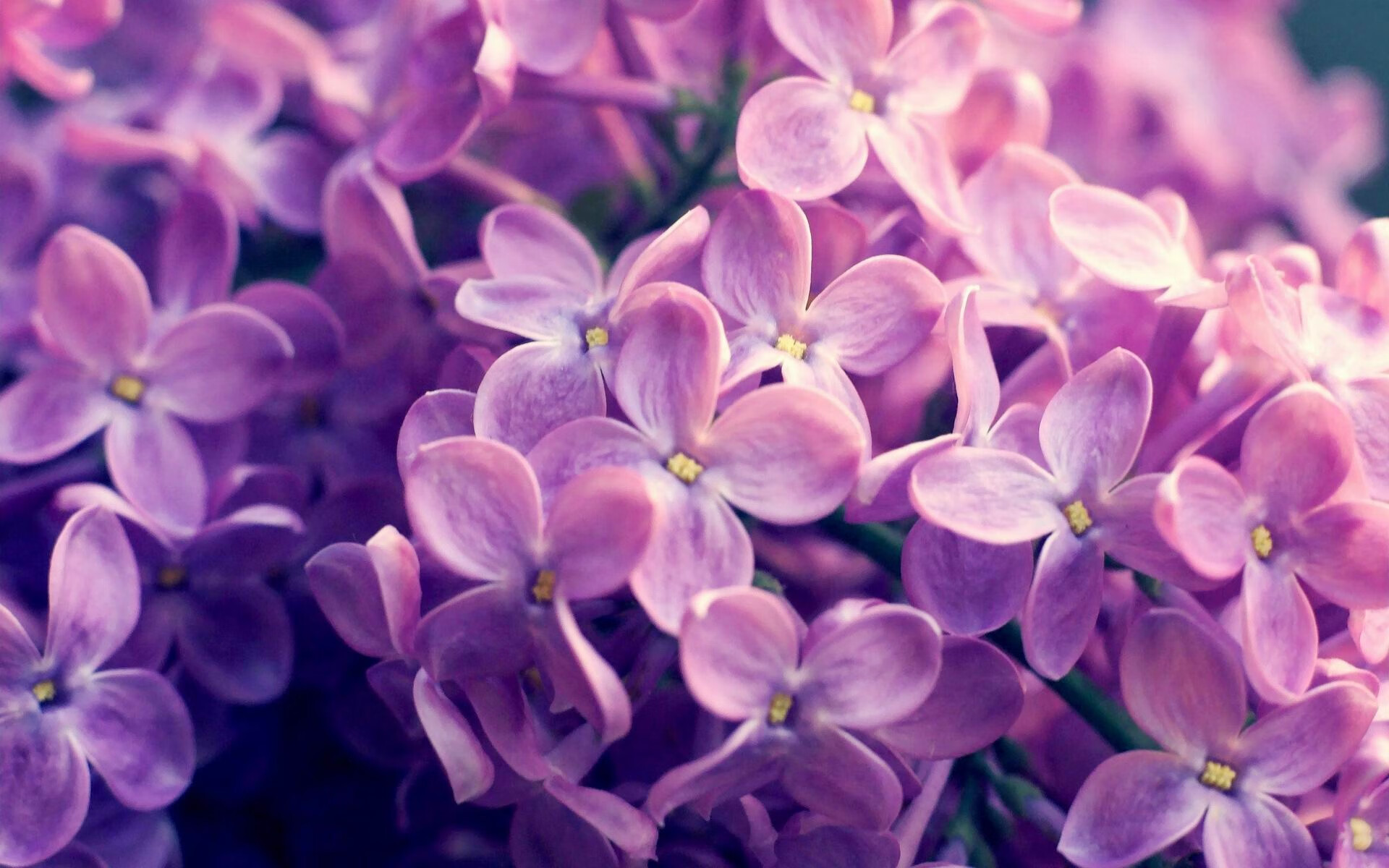 九游娱乐下载-哈登掌控比赛节奏快船全员状态在线，哈登打快船数据