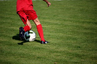 九游官网入口-国脚待遇结构调整引导更多球员留在国内发展，国家队国脚