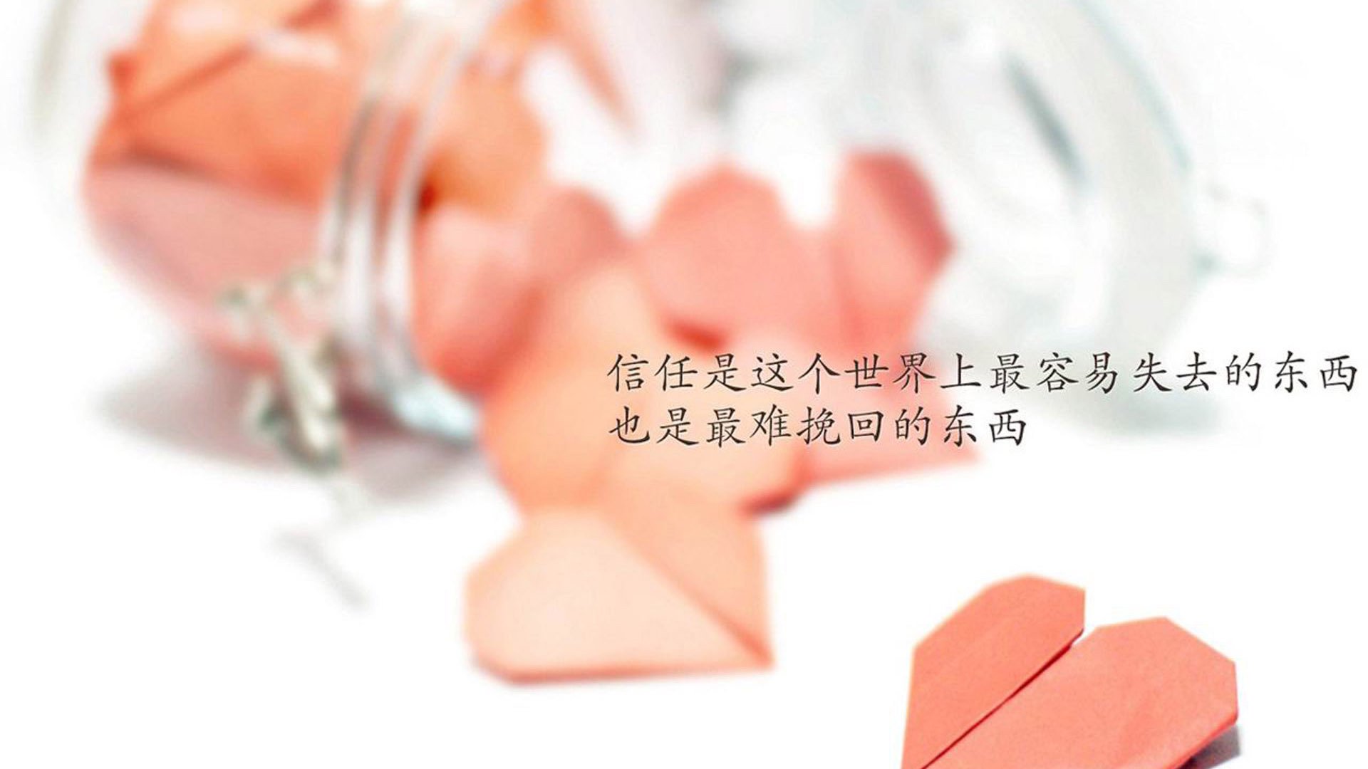 九游官网入口注册-场边替补积极投入热身等待上场时刻展现专业态度与团队精神，替补随时入场