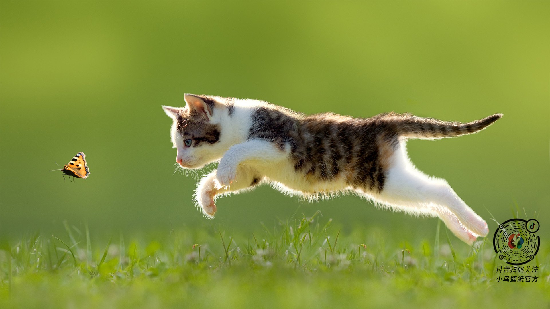 九游娱乐app官网-希腊男篮在欧洲锦标赛中再夺金牌，传承荣耀传统，希腊男篮拿过世锦赛冠军吗